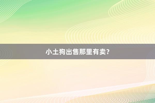 小土狗出售那里有卖？