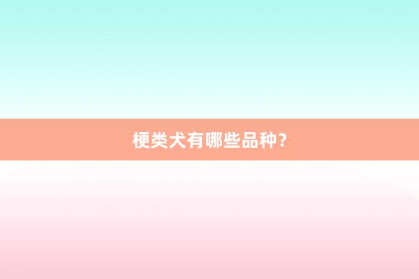 梗类犬有哪些品种？