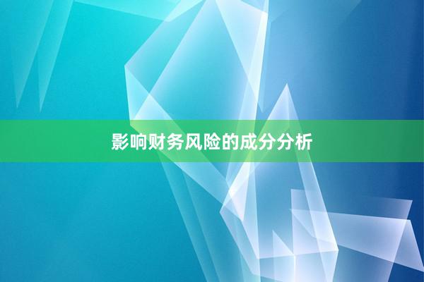 影响财务风险的成分分析